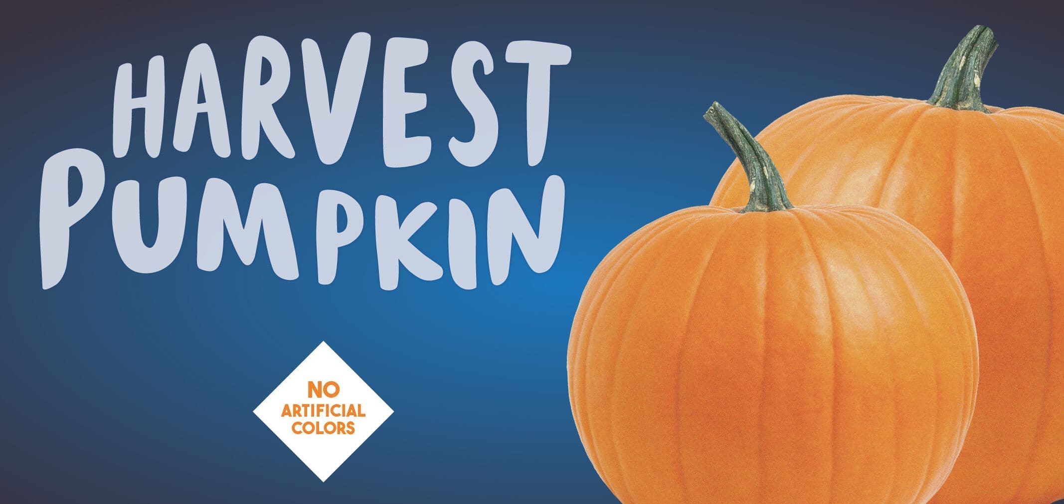 Harvest Pumpkin — Menchie’s product imagery