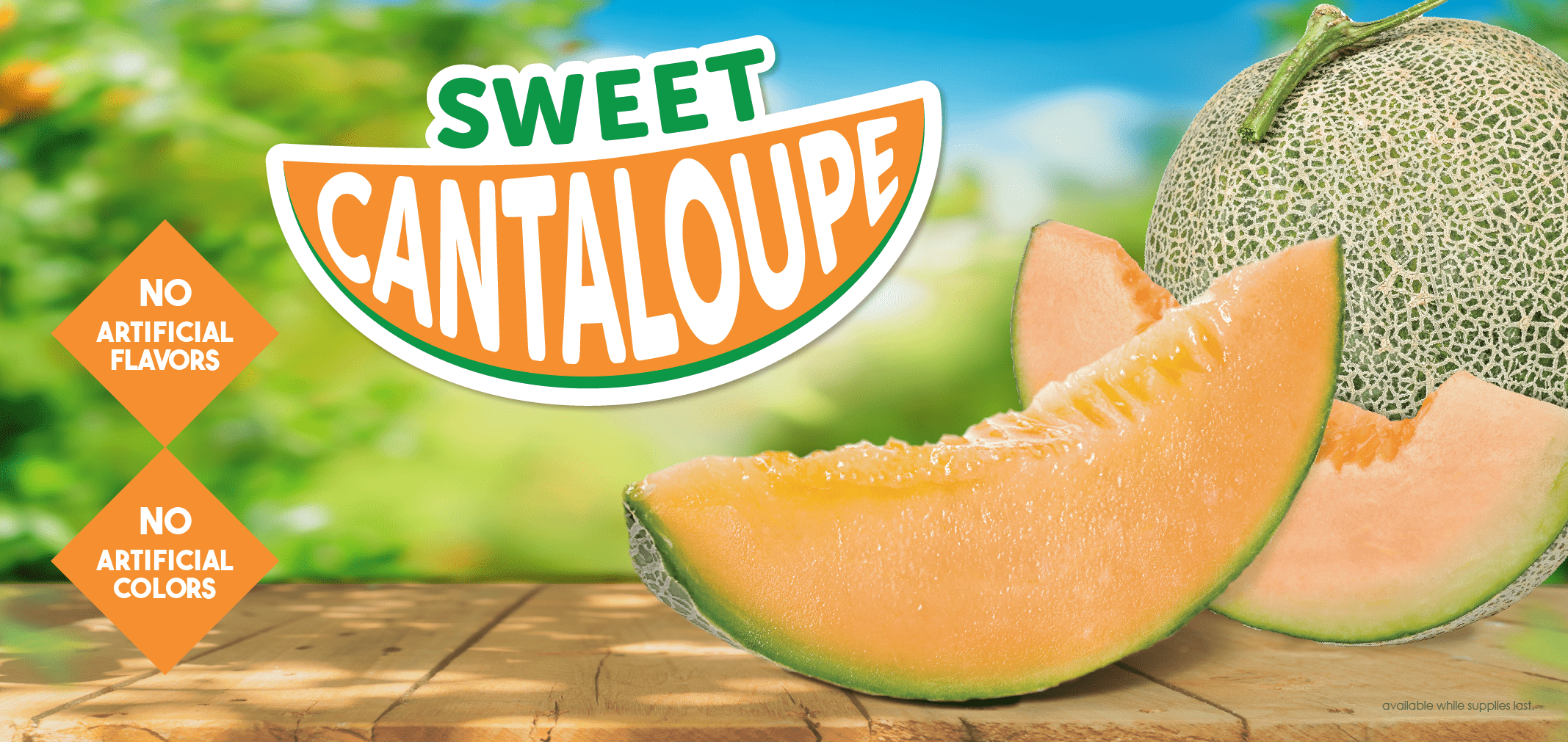 Sweet Cantaloupe — Menchie’s product imagery