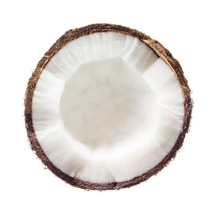 Coconut — Menchie’s product imagery
