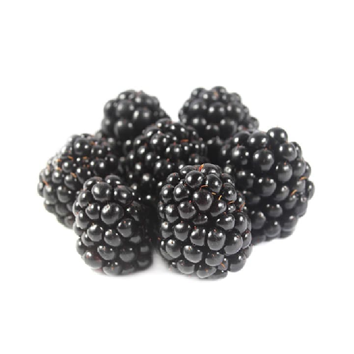 Fresh Blackberries